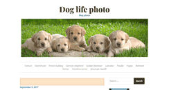 Desktop Screenshot of dogblessed.us